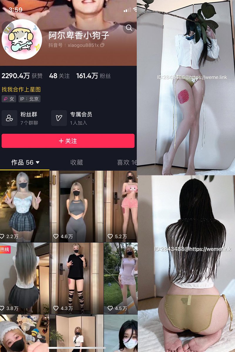#福利姬 #网红 #网红少女 #抖音 #微密圈 #微密圈资源 #觅圈 #反差 #反差女友 #反差女大学生 #迪路兽 #C婵婵呀 #麻利亚辣 #阿尔卑香小狗子 

网红姬，抖音微密圈圈主资源，五年老站稳定每天持续更新。

网址:  amlyu.com