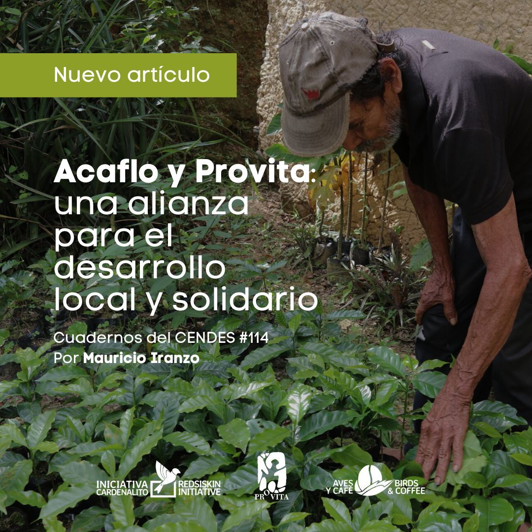 La agricultura sostenible puede transformar vidas y conservar la biodiversidad ☕️🌳

El nuevo artículo de Mauricio Iranzo, sociólogo de Provita, en la Revista Cuadernos del CENDES #114, muestra historias de productores que han adoptado prácticas agrícolas orgánicas y de sombra