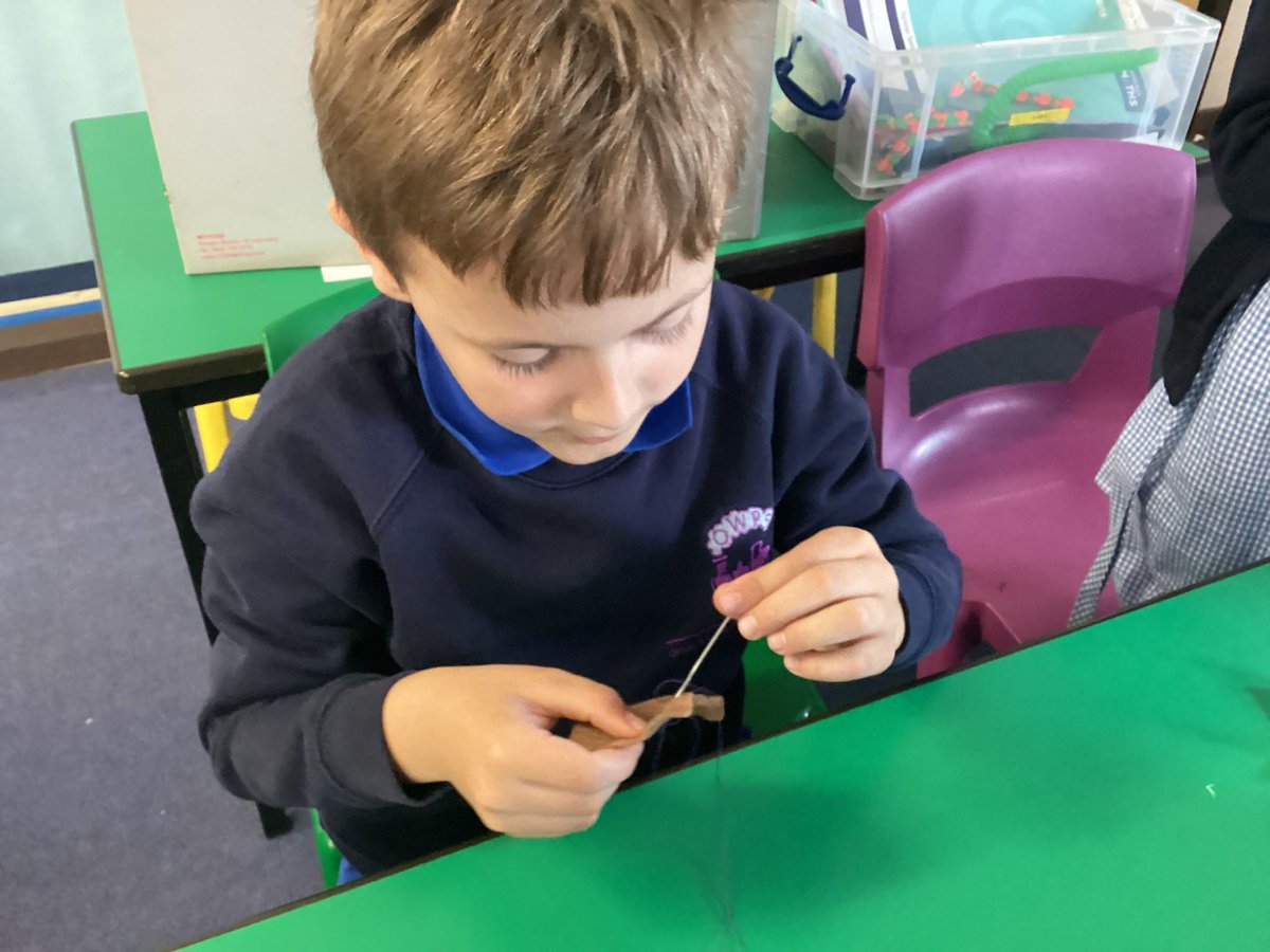 OWPSturtles tweet media