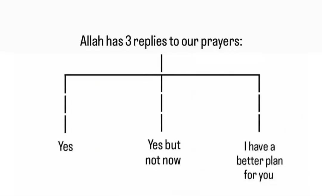 HanzlaAbbas1's tweet photo. This is beautiful! https://t.co/N2xDQQszky