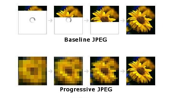 Matt Webb 🌸🌼 genmon.fyi tweet media