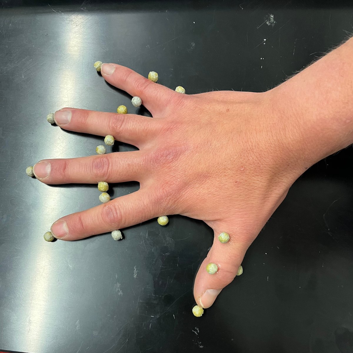 Soph_astro's tweet photo. _-_ Journal de bord d’une #astronaute #ESA _-_
{Houston} Semaine 2 - je rattrape le retard de ce journal de bord 🗓️

Difficile de résumer cette semaine riche en activités variées !

-> 📚Cours super intéressants… ça avance à un rythme soutenu ! 👩‍🚀 Nous sommes formés aux sorties extravéhiculaires : théorie, systèmes, procédures opérationnelles…
Mais nous apprenons aussi les fondamentaux des opérations à bord de l’ISS : architecture des systèmes, mécanismes et structures, alimentation électrique, régulation thermique, procédures médicales…

-> 👩‍🚀 Mesure du corps via un scanner 3D. Même les mains sont mesurées avec précision ! Les combinaisons spatiales ne sont pas faites sur mesure, mais il existe différentes tailles pour chaque segment, et de nombreux ajustements sont possibles.

-> ✅ Annonce par l’ESA de mon affectation à une mission 🚀, et interviews avec les médias entre les cours. J’ai reçu des centaines de messages, merci à tous pour votre incroyable soutien 😍.

-> ⛈️ Gros orages… de nombreux foyers du voisinage ont été privés d’électricité ou d’eau… La saison des ouragans a commencé !