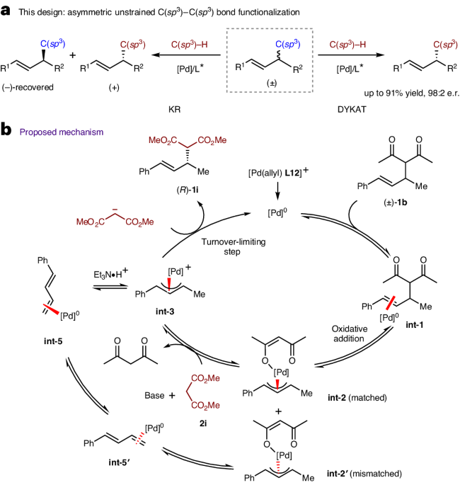 Asymmetric allylic C(sp3)–C(sp3) bond functionalization nature.com/articles/s4416…