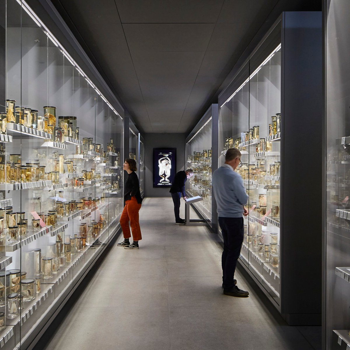 Revisiting the Grade II* listed Royal College of Surgeons.

Now a beacon of surgical excellence, it houses the world-class Hunterian museum, commercial office, event facilities, teaching spaces and more.

Associate Director Andrew Wadeson shares details: hawkinsbrown.com/news/respectfu…