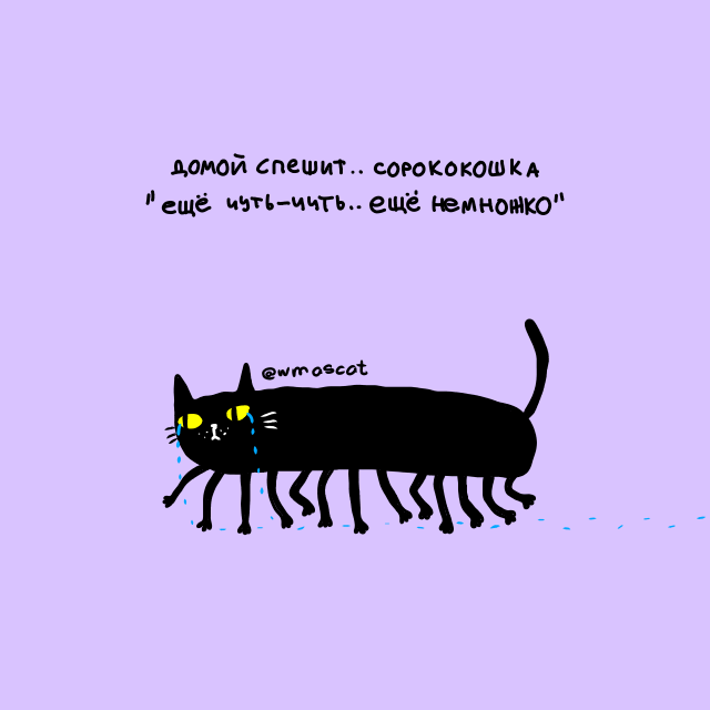 wmascat tweet picture