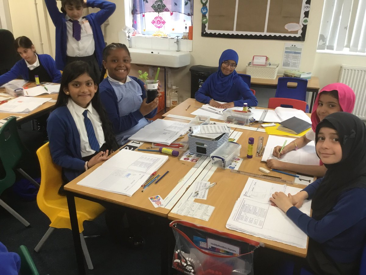 SSilas3_4S's tweet photo. The Celery Experiment! We placed sticks of celery in coloured water to explore the process of water transportation in plants. It didnβt take too long for the coloured water to travel through the celery and turn the leaves blue! #SilasScience https://t.co/SZoQDwh6gX