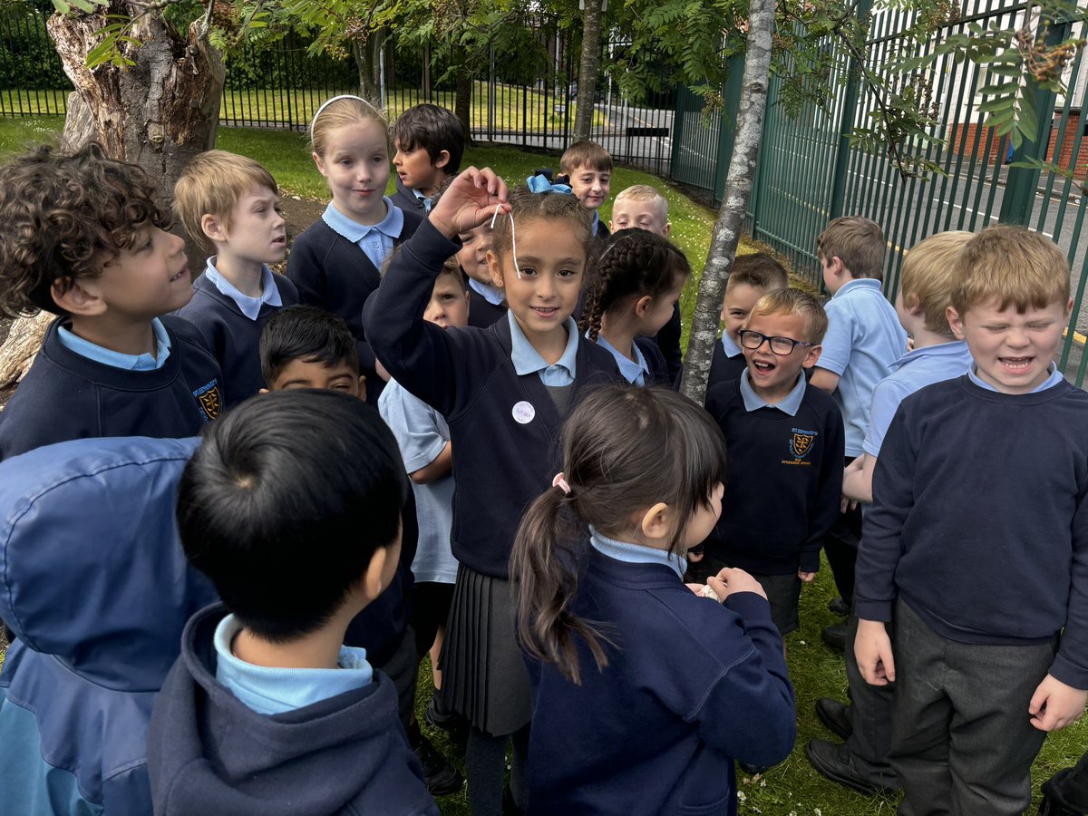 StEdwards_C2's tweet image. Our big science question today was: ‘Do taller trees have wider trunks?’ #stedwardsscience 🌲🌴🌳