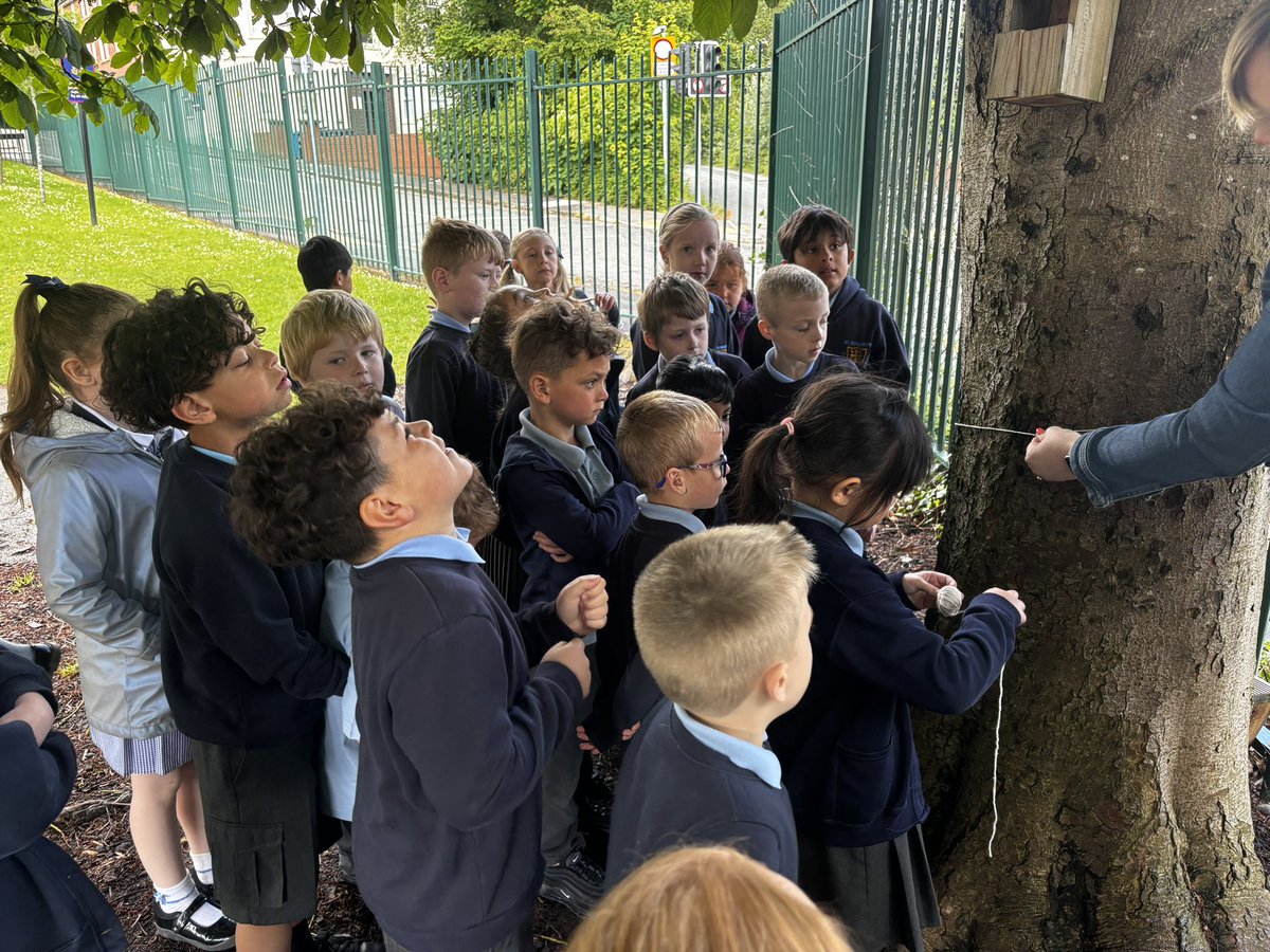 StEdwards_C2's tweet image. Our big science question today was: ‘Do taller trees have wider trunks?’ #stedwardsscience 🌲🌴🌳