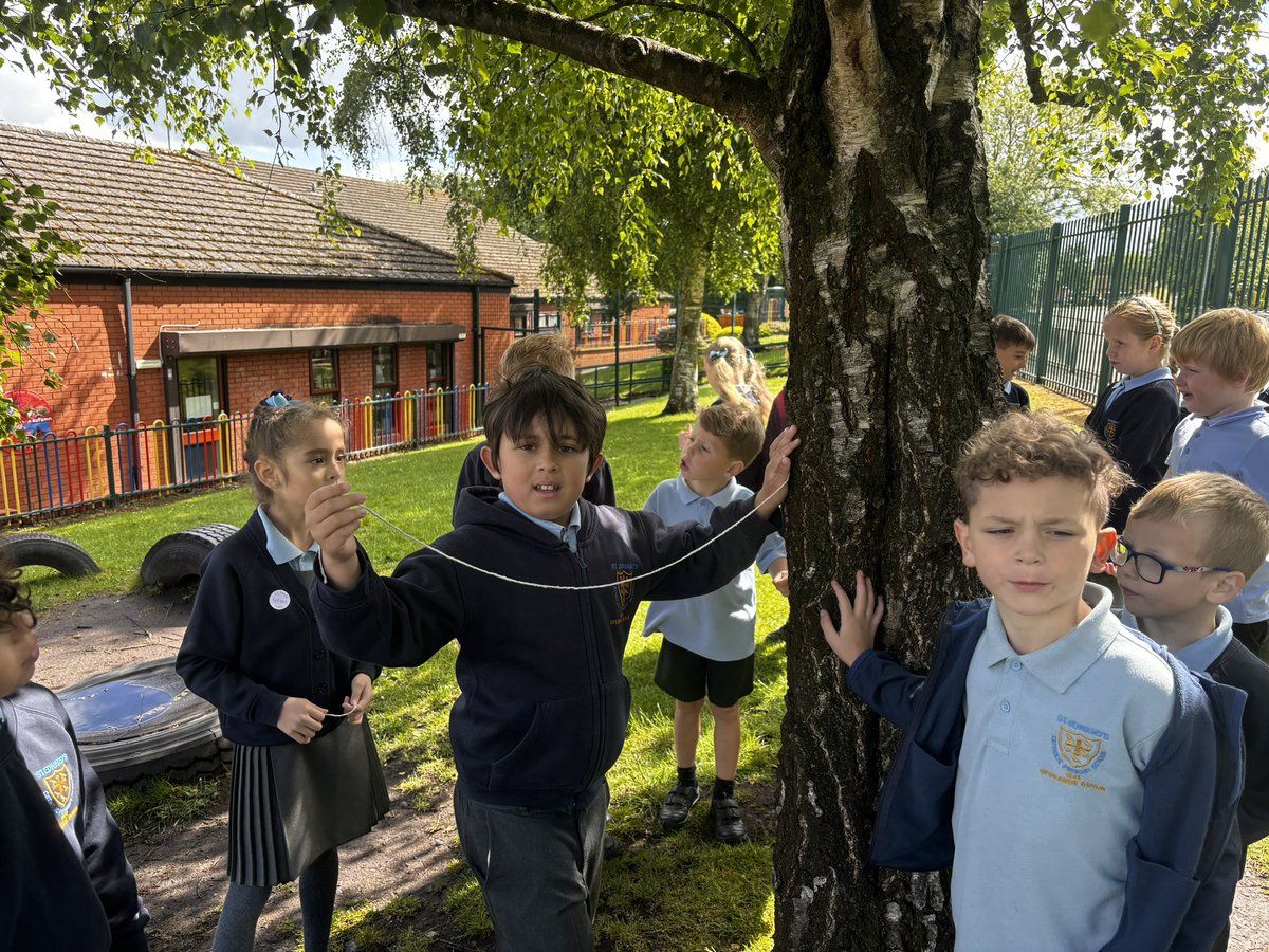 StEdwards_C2's tweet image. Our big science question today was: ‘Do taller trees have wider trunks?’ #stedwardsscience 🌲🌴🌳