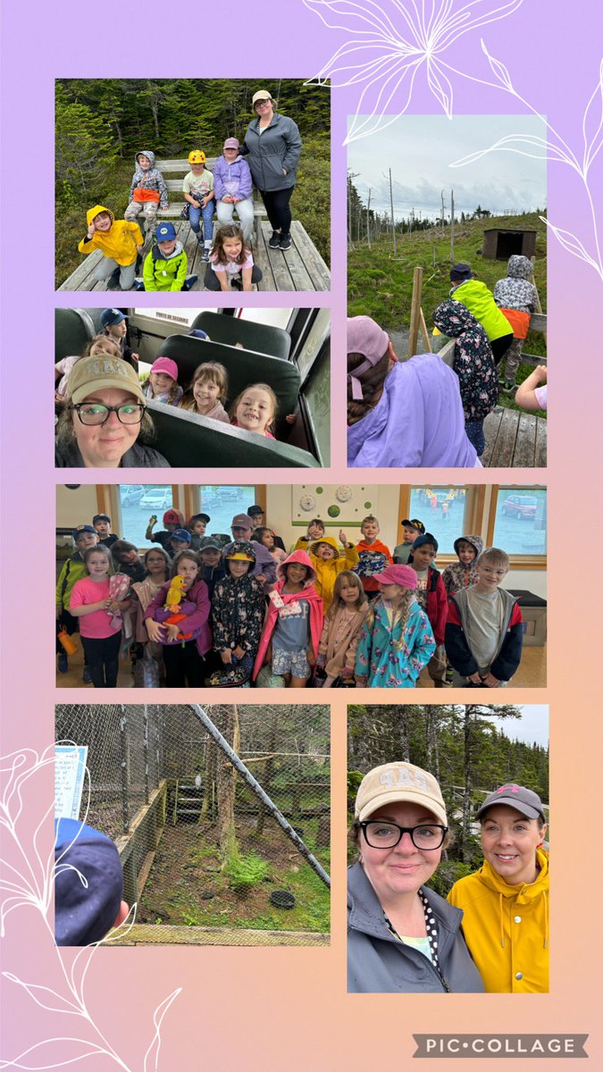 What a perfect year end field trip to Salmonier Nature Park! The weather was great and the rain held off until the bus ride home! We saw lots of animals, had a picnic lunch and made some great memories! <a href="/AdmiralsAcad_NL/">Admiral’s Academy Navigators 🏳️‍🌈</a>
