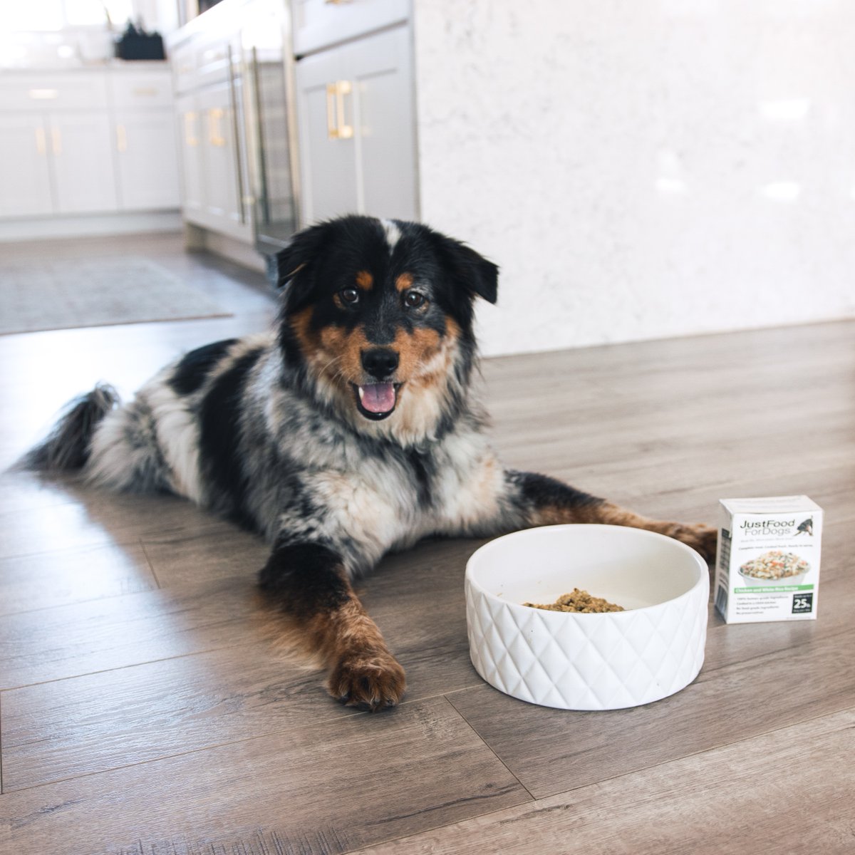 Do you have a herding dog in your family? Herding breeds are hard workers, and they must get high-quality dog food to meet their energy needs. Check out our blog (🔗 in bio) to see what to look for in dog food for working dogs.