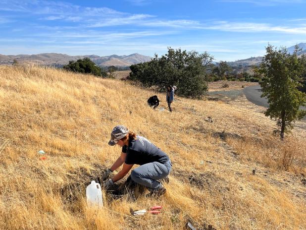 BayNature's tweet photo. An Indigenous Garden Takes Root
https://t.co/rVkBt8yX1m
🖋️ @anushuyathapa
📸 Kathy Cutting
#nativeusegarden #wildbillions #indigenouslifeways #gardens #elderberry #sage #dogbane #lemontrees #californianativeplants @makamham @CalStateEastBay https://t.co/zDrbE9uN5O