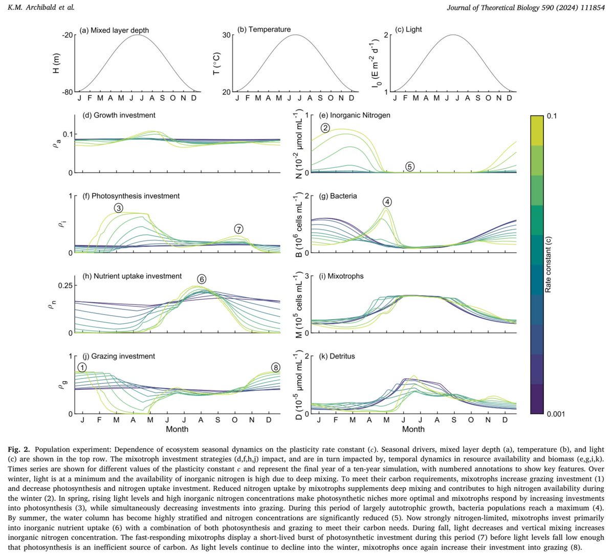Shamelessly stealing a figure by postdoc fellow Kevin Archibald today because I want to shout out his very cool new paper in JTB. Kevin’s work shows a tradeoff between speed of acclimation and maximal growth in mixotrophs. Read more at: doi.org/10.1016/j.jtbi…