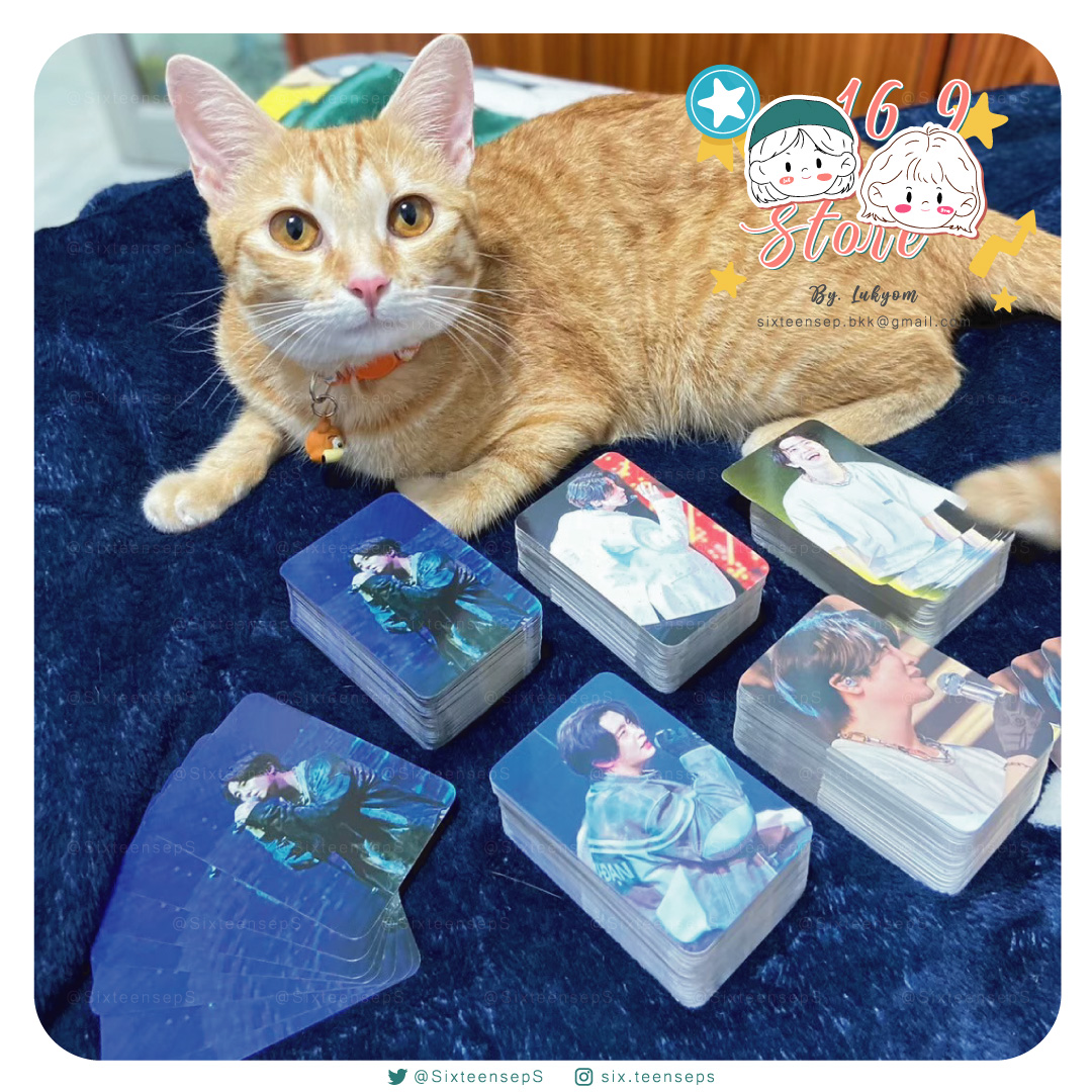 SixteensepS's tweet photo. หนูกำลังทยอยตรวจงานให้พี่ๆอยู่ค่าา 😻
จะรีบจัดส่งทุกอรร์เดอร์ให้นะคะ 🙏✨

#รับทำของแจก #รับผลิตการ์ด #ของแจกหน้าคอน #รับทำการ์ด #รับทำgiveaway #รับทำโฟโต้การ์ด #รับทำโ��สการ์ด #รับทำสติ๊กเกอร์ #สติ๊กเกอร์ไดคัท #รับทำโบรชัวร์ #แมวน่ารักมีเยอะแต่เชื่อเถอะแมวส้มดีที่สุดแล้ว #แมวอ้วน https://t.co/qWftKjkkzm