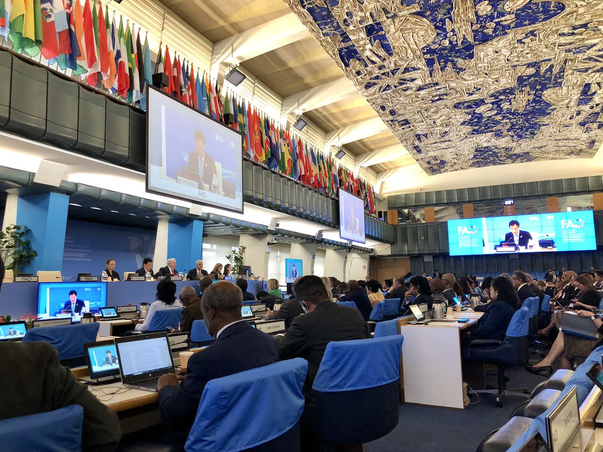FranceONURome's tweet photo. FAO | Ouverture de la 175e session du Conseil #CL175
Seront notamment discutés les crises alimentaires, dont la situation à #Gaza & en #Ukraine, la décentralisation, le rapport du Corps commun d’inspection @unjiu1966, les rapports des conférences régionales & de divers comités. https://t.co/0BPWW3hY1i