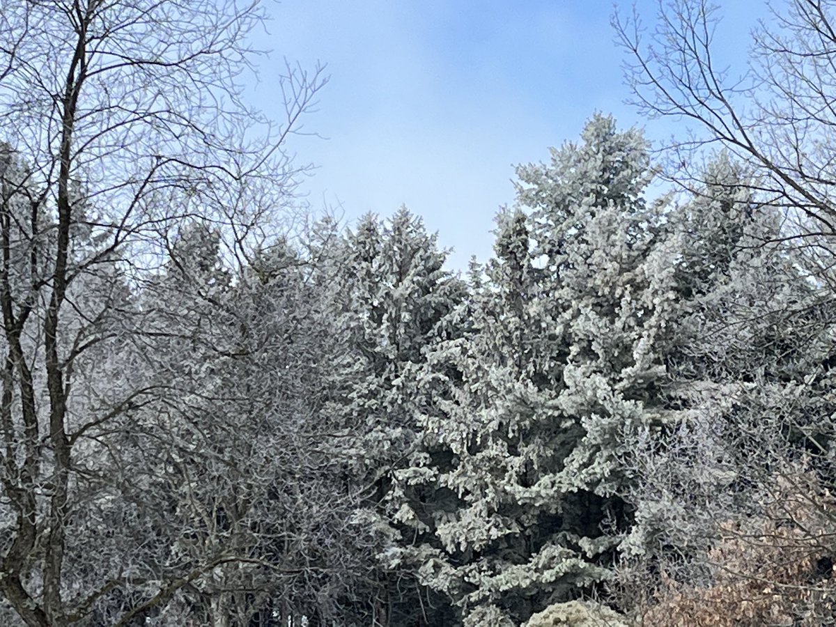 WillowsGallery's tweet photo. Winter Wonderland and Whoops 
(I missed the W. So here’s my late entry)
#alphabetchallenge #weekW https://t.co/fUcOKbosKo