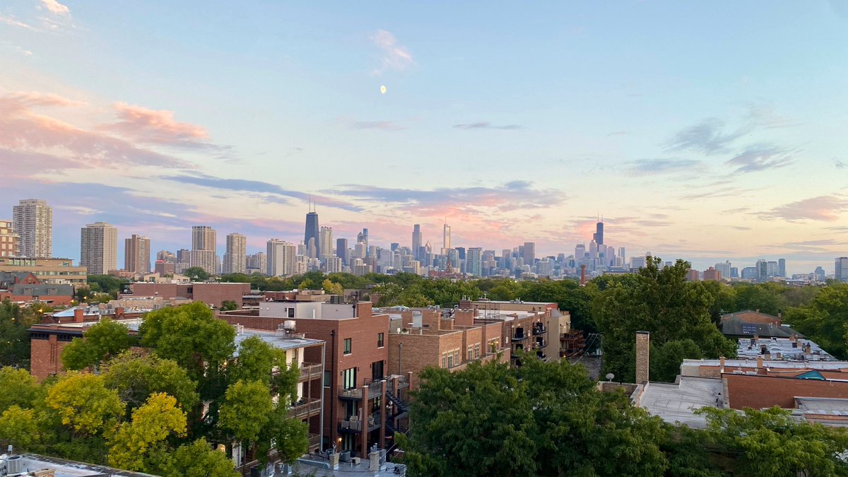 emily north tweet media