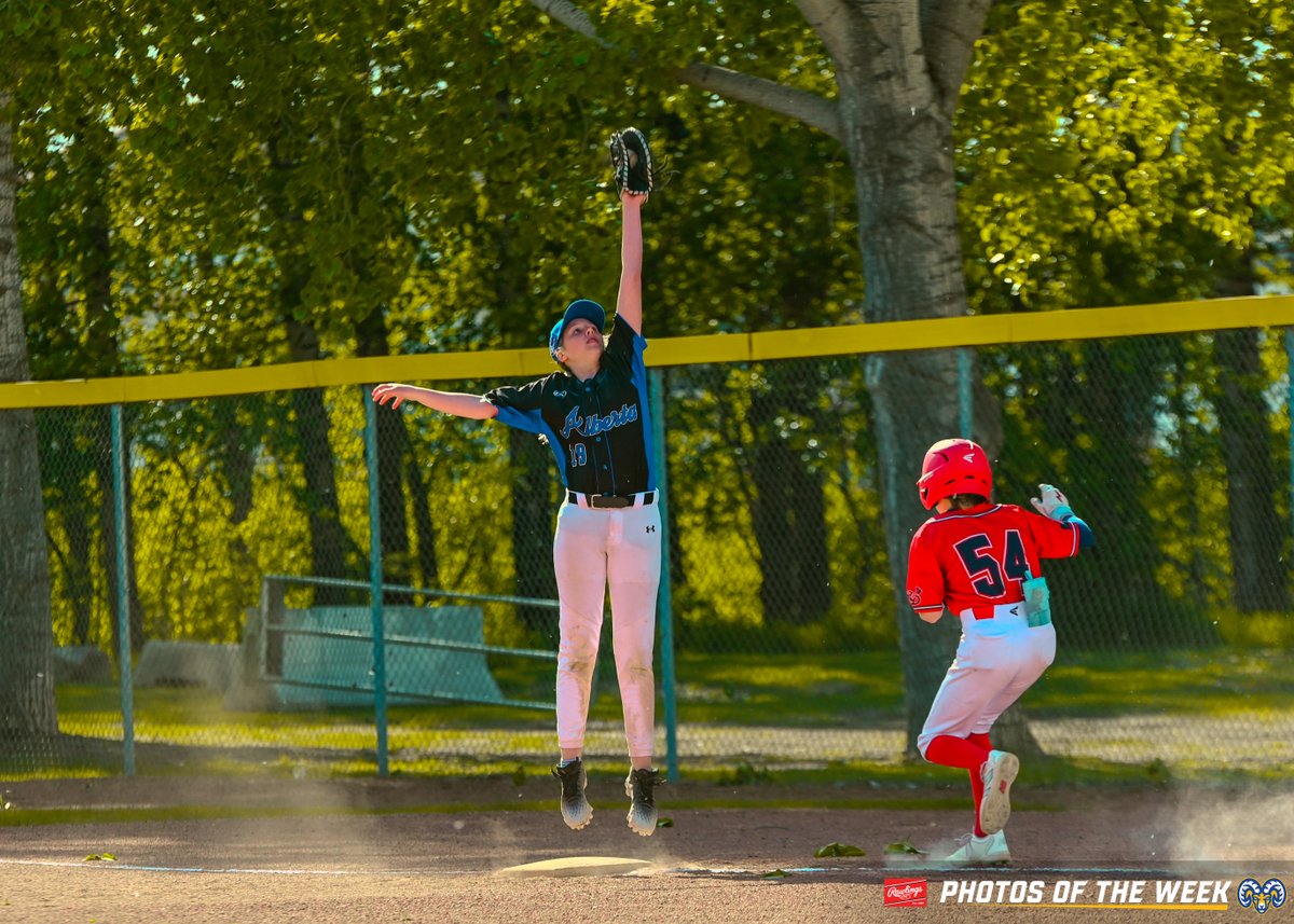 📸's of the week presented by Rawlings Canada!

06/03/24 - 06/09/24

🧵

#POTW2024 • #BaseballAB