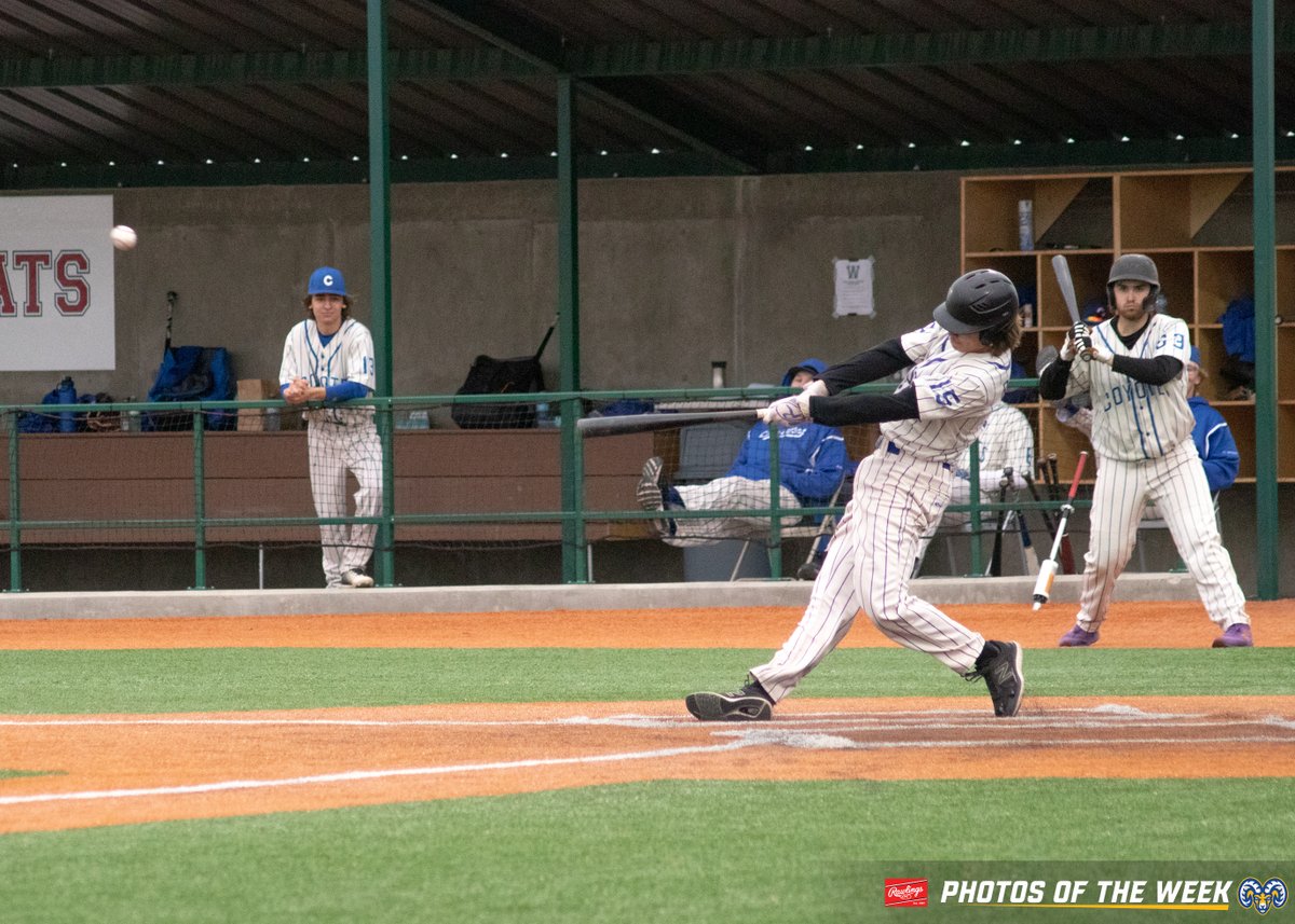 Baseball Alberta tweet media