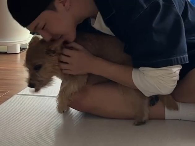 mytiger615's tweet photo. 라떼♥︎호시 영원하길... https://t.co/QJq20Nu7dM
