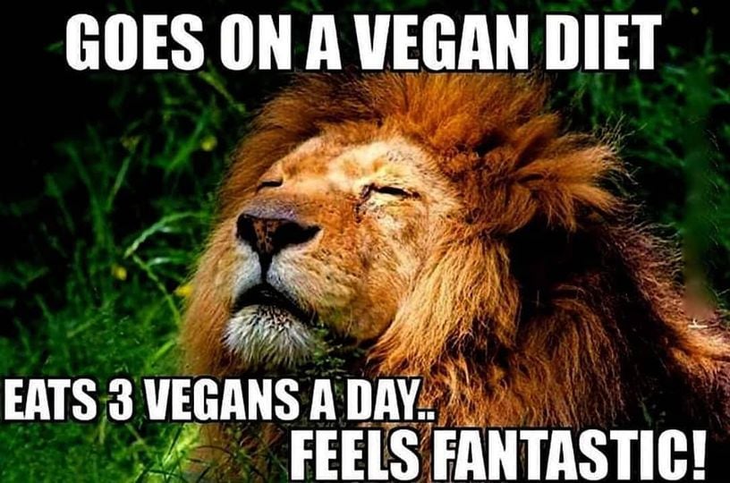 2m_ispod's tweet image. Pozdrav za vegane. 😂