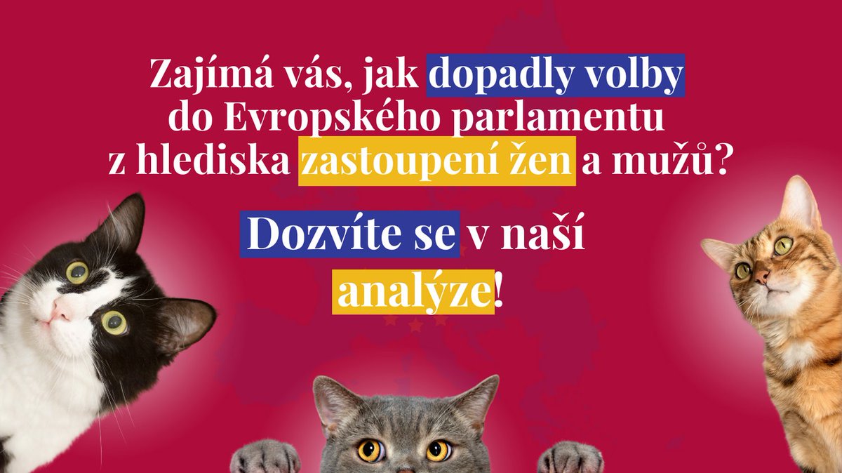 📈Že bylo letos za Českou republiku do Evropského parlamentu zvoleno historicky nejvíce žen, jste už nejspíš zaznamenali...
🤔 Zajímá vás, víc?
📄Přečtěte si naši analýzu 👉padesatprocent.cz/cz/statistiky/…

#evropskevolby2024