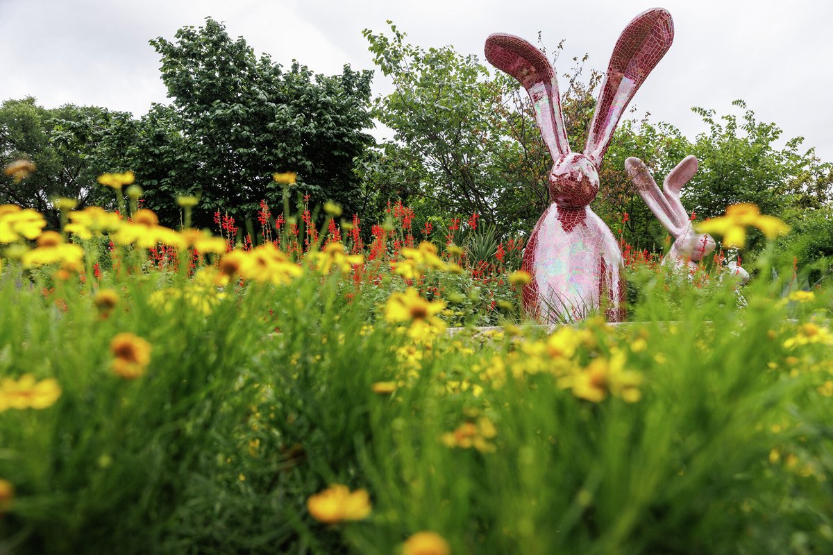 notable.art tweet media