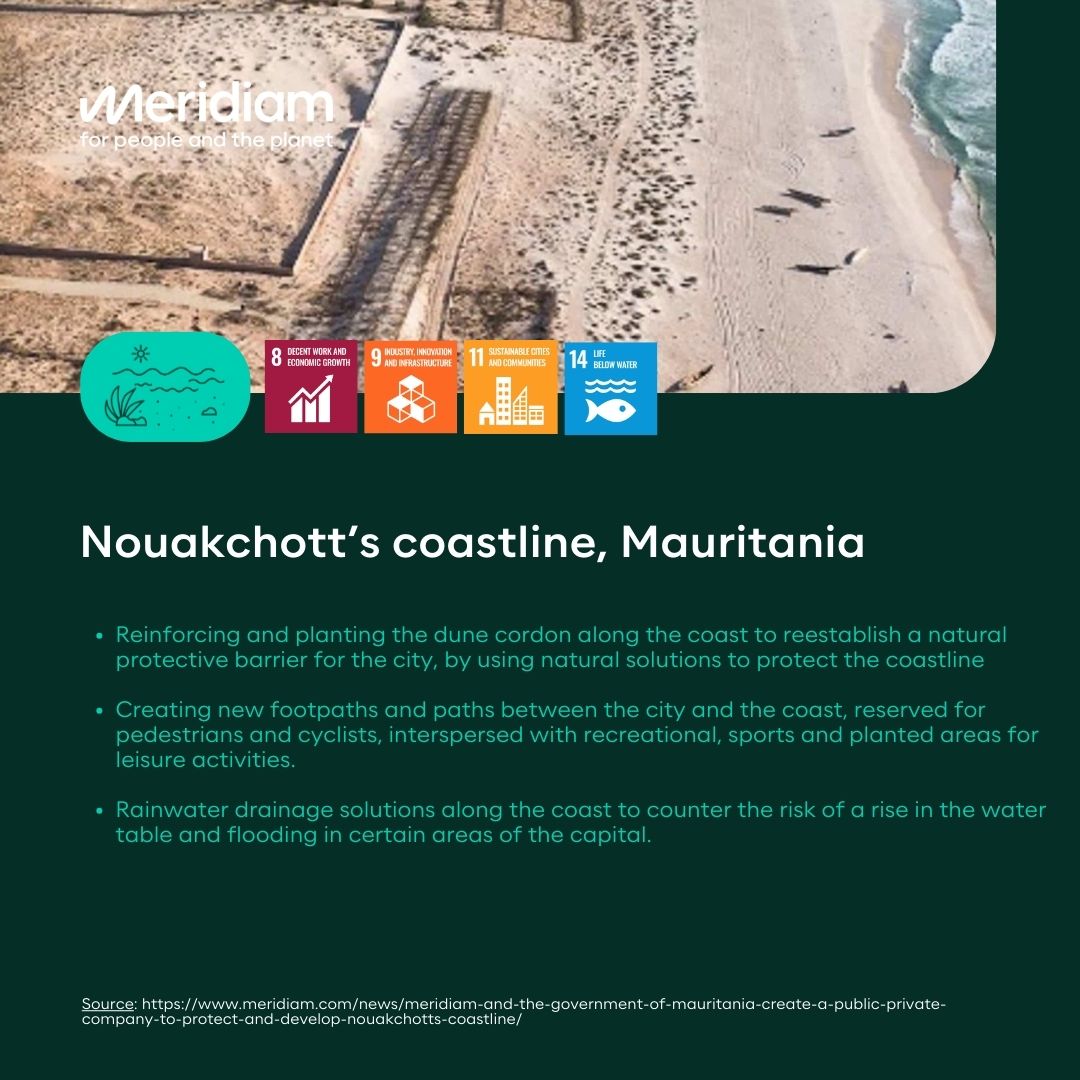 Meridiam's tweet photo. (Re)discover some of our initiatives and #commitments as a #sociétéàmission and #BCorp, and our ongoing efforts catalyzing #action for the #marineenvironment and for #climate!
#WorldOceansDay https://t.co/nWsSri46xX