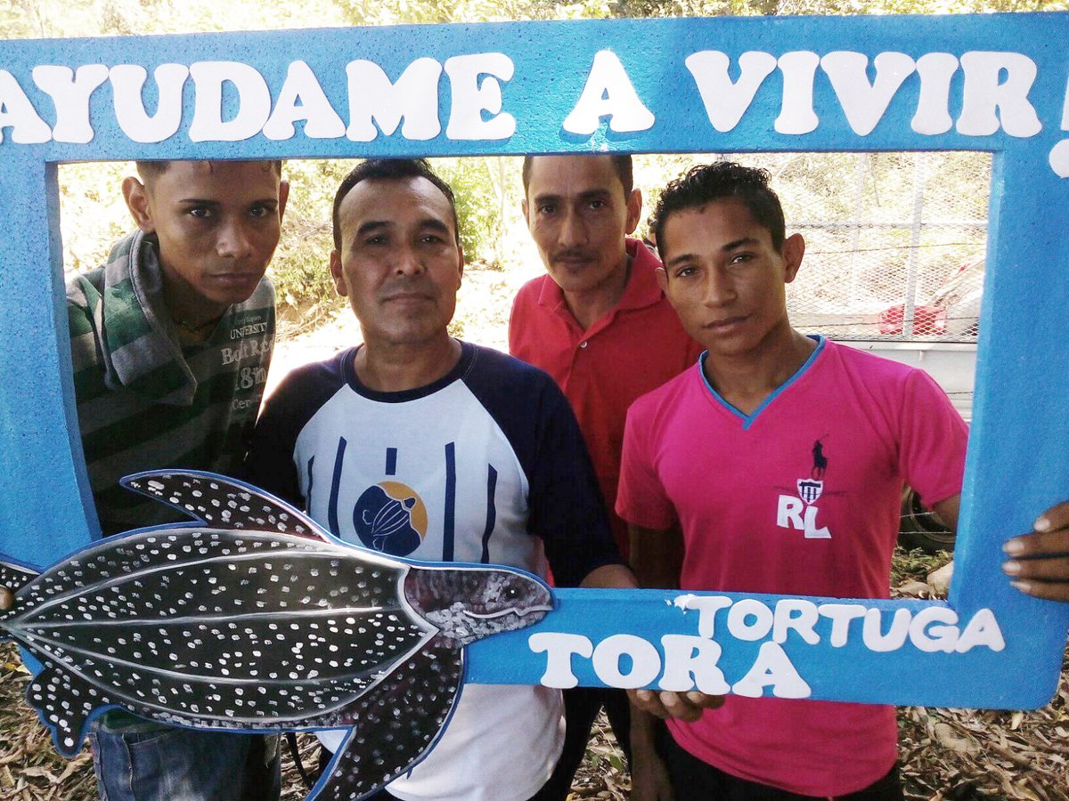 🎊En celebración de la “Semana de las Tortugas Marinas”, te presentamos a nuestro primer #HéroeLaúd 2024, que llega desde Nicaragua.

Conoce un poco más sobre su historia 👇
laudopo.org/heroes-laud/he…

#programadereconocimiento #redlaúdopo 
Fotos cortesía de Fauna &amp; Flora.