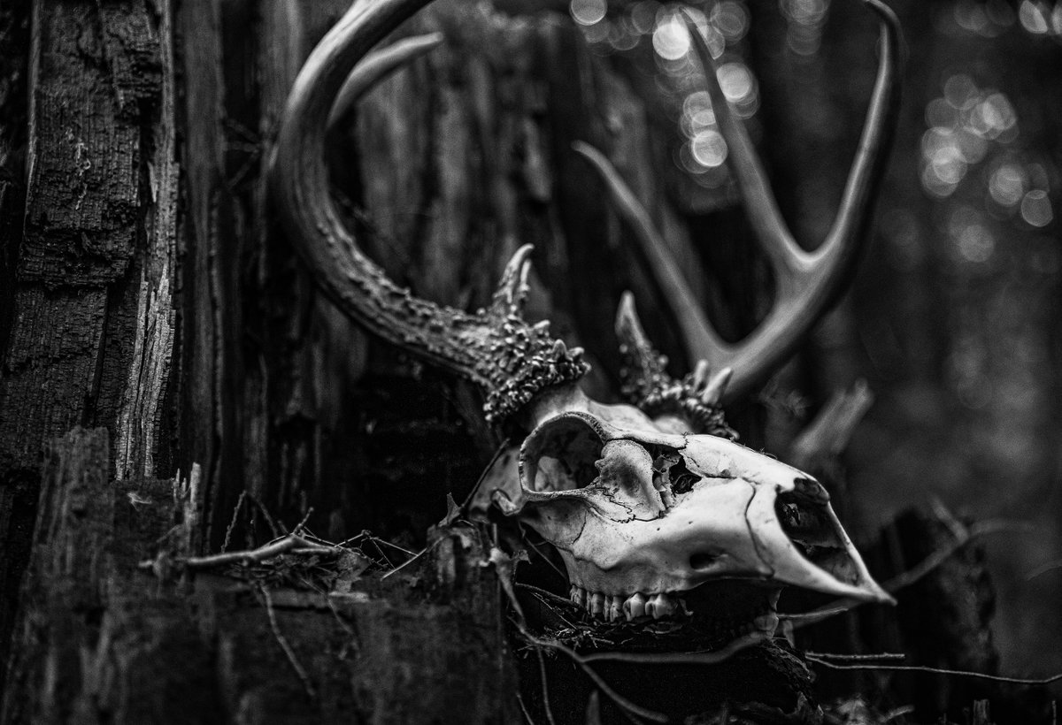 Berlin was packed for the final show of the Crypt of Ancestral Knowledge European tour.  Hails to all you wolves who breathed in the sacred smoke with us this past month. We will return…

Hails to the Crew, without whom the show would not be possible.