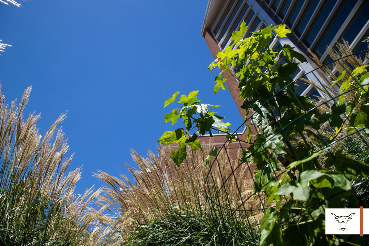 The planetarium received a sweetgum sapling in April from NASA and the United States Department of Agriculture Forest Service. The sapling is from Artemis I uncrewed lunar orbit mission that launched November 2022. 🌙
ow.ly/Uc8950SelZq