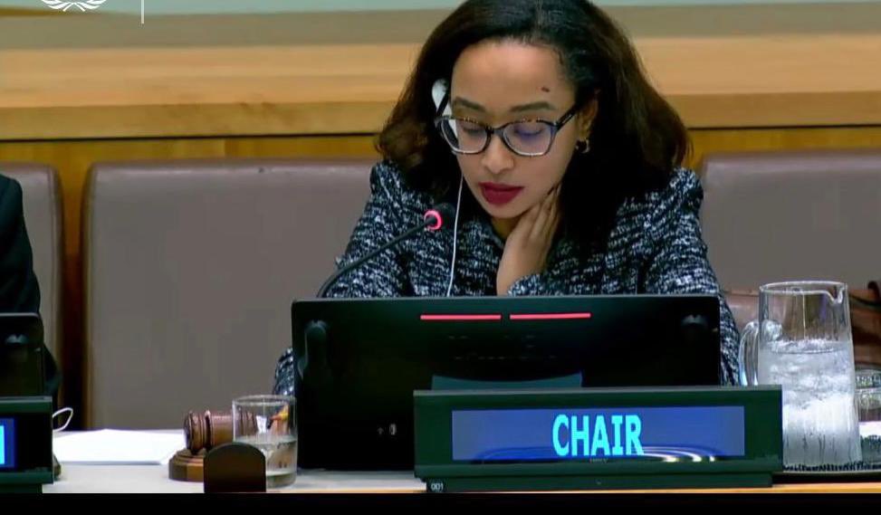 Eritrea_UN's tweet photo. Congratulations to 🇪🇷 diplomat @zebibaberhane for successfully concluding her role as Chair of the #UN NGO Committee. As a member, Eritrea will continue to prioritize the effectiveness of the Committee’s work through consensus based decision-making and constructive discussions. https://t.co/lG1Fdz6Jlf
