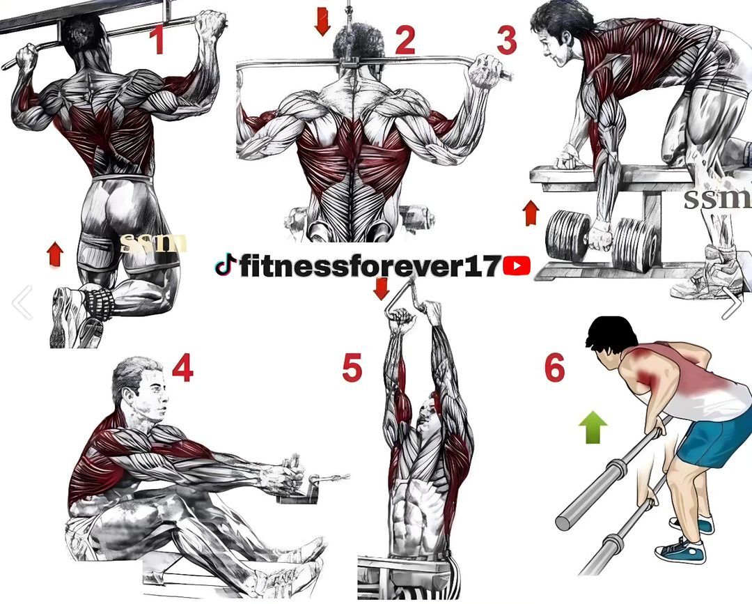 FitnessModelsL1's tweet image. Back Workout

#backworkout #backworkoutday #backworkouts #backworkouttips #backworkoutroutine