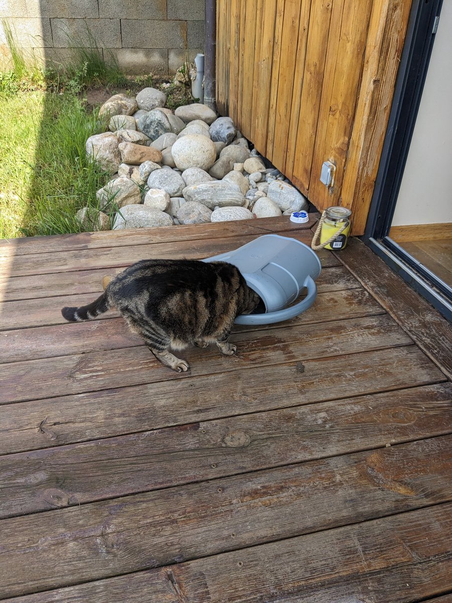 Lizzy Banks tweet media