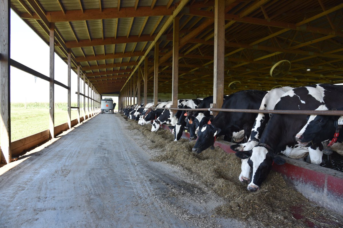 June is #NationalDairyMonth! 🐮🍦🥛🧀 Here are some legen-DAIRY fun facts to help you celebrate:

🐮 There are nearly 700 dairy farms located across the state
🐮 Jasper County has the largest dairy cow inventory in the state
🐮 Over 97% of Indiana dairy farms are family-owned