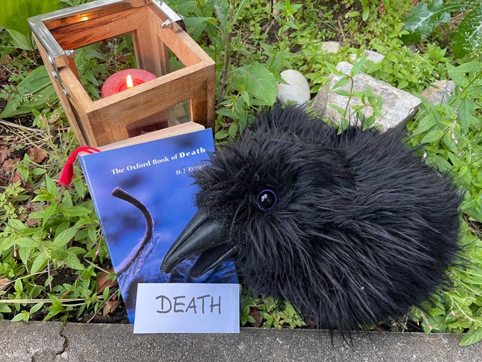 Dear #SPFBOX and #BBNYA2024 participants, Fenwick, the #InquisitiveRaven, rears his curious head again and wants to know: 
How do the cultures in your books deal with death? Are there any special burial/burning/whatever rites?

#SPFBO