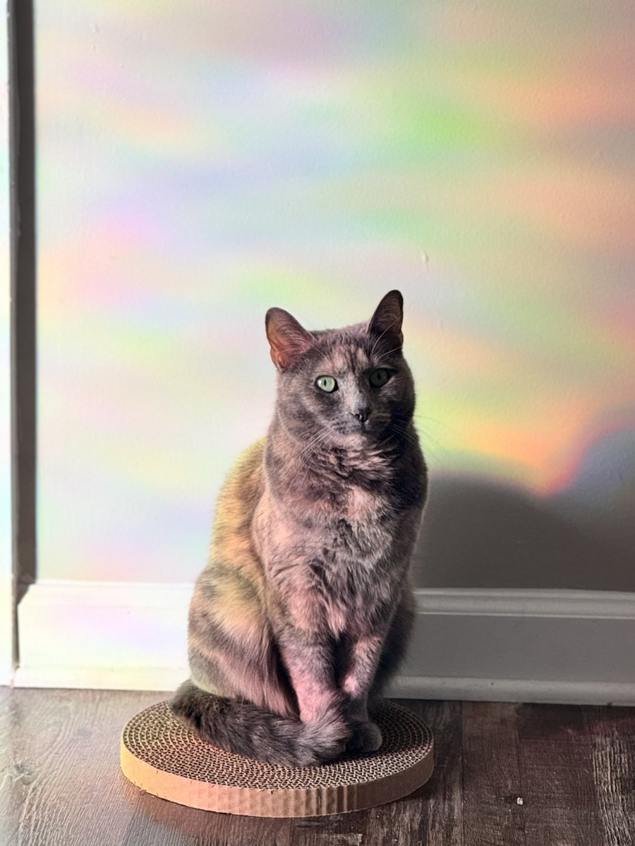 thegr8michaela's tweet photo. another lil glimpse into my world lately 🌎🌈✨🍓🩵 https://t.co/T2DhX0xkIH
