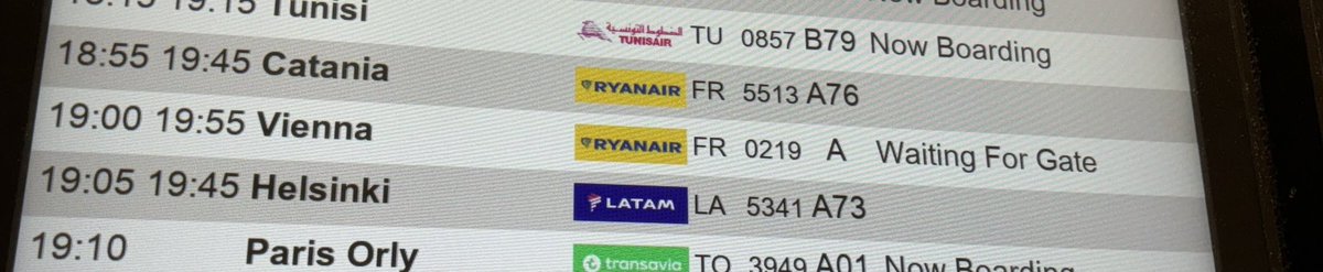 Guido Tintori tweet media