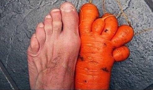 ajbgcr56's tweet photo. This is what happens when you turn vegan 😱🤣😂 https://t.co/1Do5orhRbv