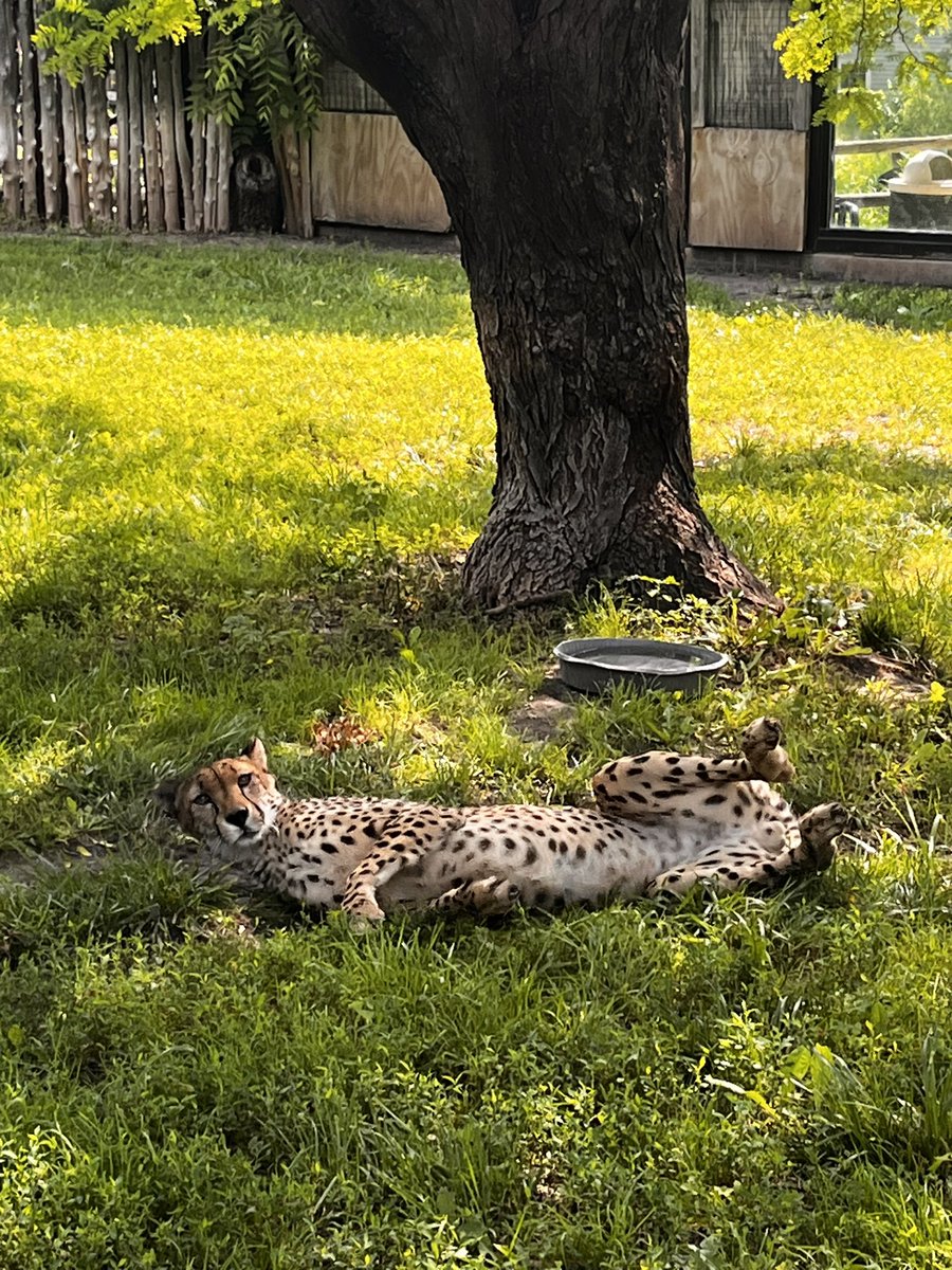 Take time to relax this Monday like Donnie 😴

📸: Keeper Jess