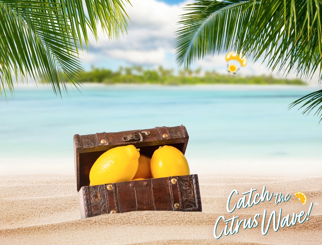 Pucker up, bounty catchers, it's time to seize Limoneira's treasure.

This summer, we're sharing our loot with all the deal hunters seeking the best value &amp; quality fruit. Join us in celebrating the season with the freshest, juiciest lemons, perfect for your summer recipes☀🍋🏖