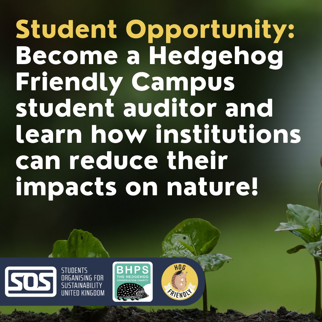 Hedgehog Friendly Campus tweet media