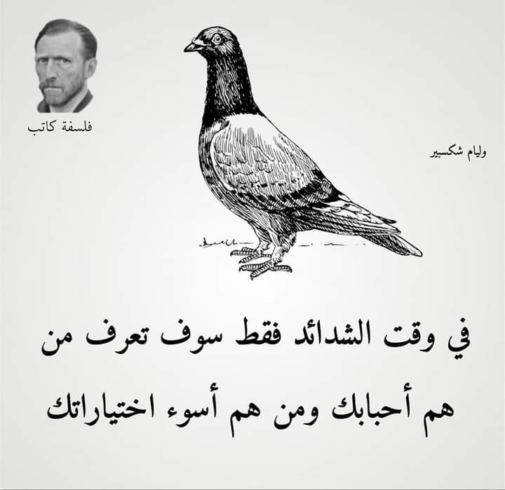 المهاجر ،🥀🌹🥀🌺 (@mydwww12228) on Twitter photo 