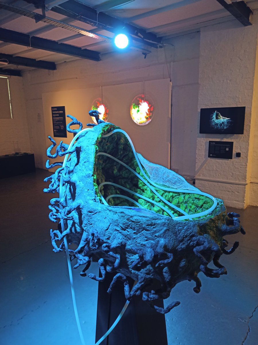 seb_math_bio's tweet photo. 🎨+🧮=#EncodedRealities exhibition hosted by @Centrala_space and organised by @SMQB_UoB 🎓 So lucky to have been a collaborator and see our research communicated in amazing creative ways by @felicityinkpen. Can't recommend it enough, check it out before it closes on 22nd June! https://t.co/tLqcZYuDn7