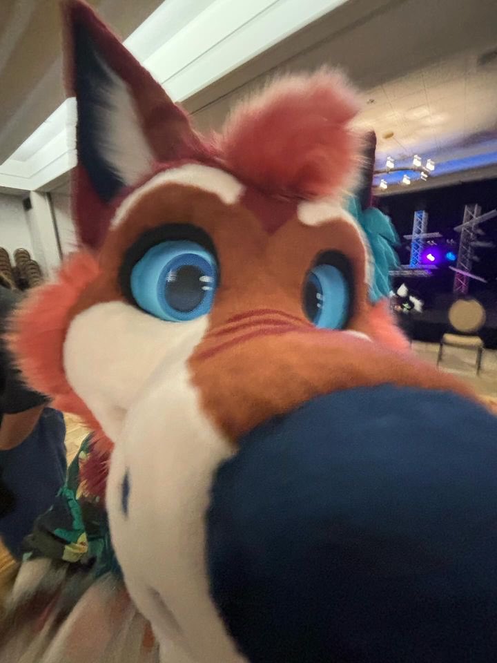 Oregon_Ash's tweet photo. *deepy sniffs you* mmm snack time🍽️
-
📸: @CopperHusk 
-
#furlandia #furlandia2024 https://t.co/GqxfrfM5QG