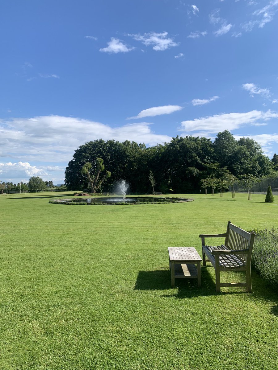 Mustafa Al-jarshawi tweet media