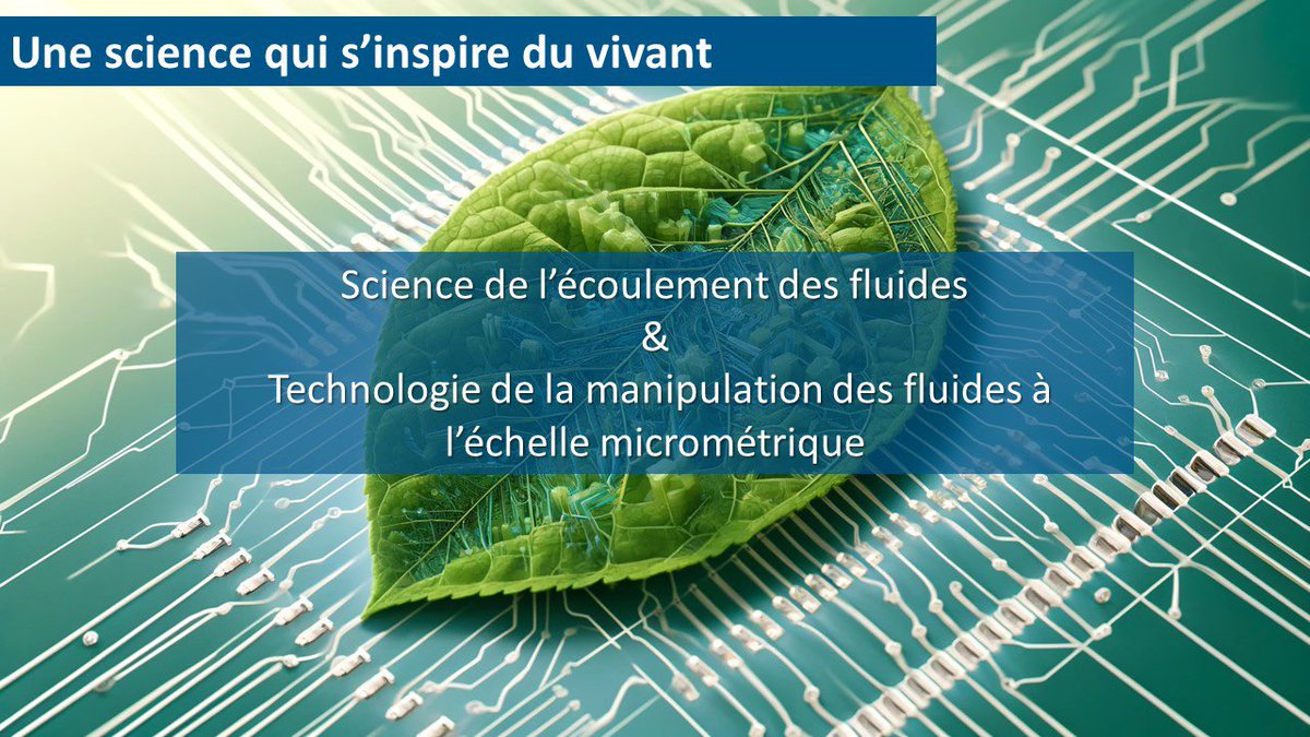 #SIGNAUX24 

La #microfluidique, c’est quoi ? 👀

C’est la #science de l’écoulement des fluides ainsi qu’une #technologie de la manipulation des fluides à l’échelle micrométrique.