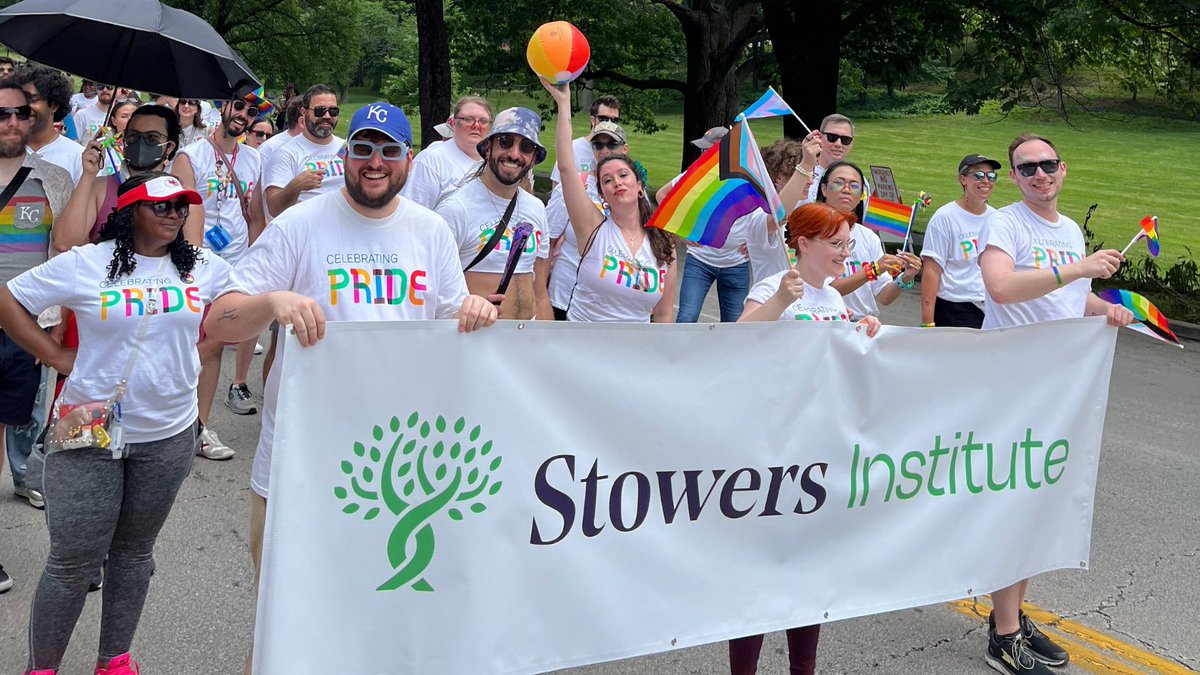 Stowers Institute (@sciencestowers) on Twitter photo 🌈 Honored to have walked alongside <a href="/AmericanCentury/">American Century Investments</a> in the <a href="/KansasCity/">Kansas City</a> #PrideParade this past weekend! 🏳️🌈 Such a powerful display of unity, love, and acceptance. #HappyPride #KCPride #PrideMonth 🌈 Honored to have walked alongside <a href="/AmericanCentury/">American Century Investments</a> in the <a href="/KansasCity/">Kansas City</a> #PrideParade this past weekend! 🏳️🌈 Such a powerful display of unity, love, and acceptance. #HappyPride #KCPride #PrideMonth