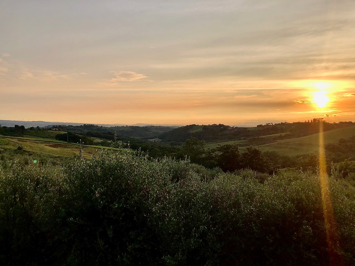 georgexynos's tweet photo. Dream. Wine. Repeat | #Tuscany https://t.co/w30jBwhneM