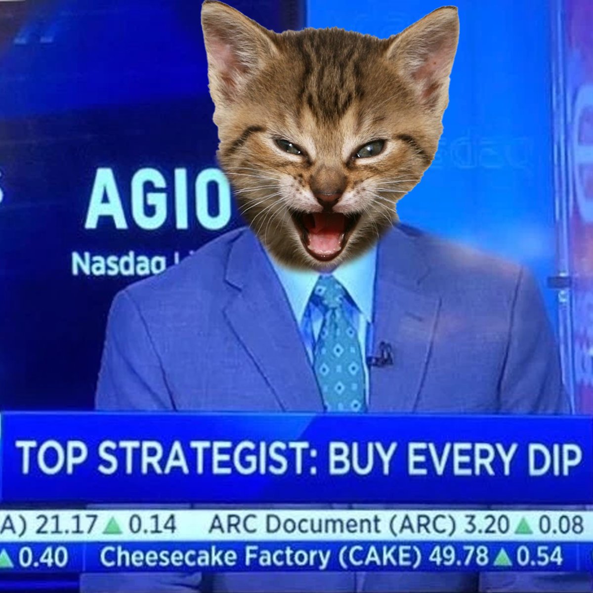 Special message from our top strategist